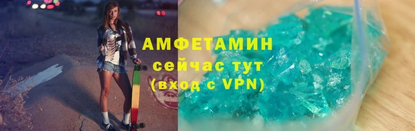 индика Кулебаки