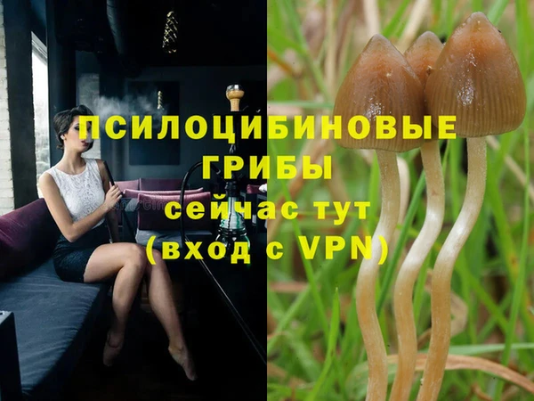 стафф Лагань
