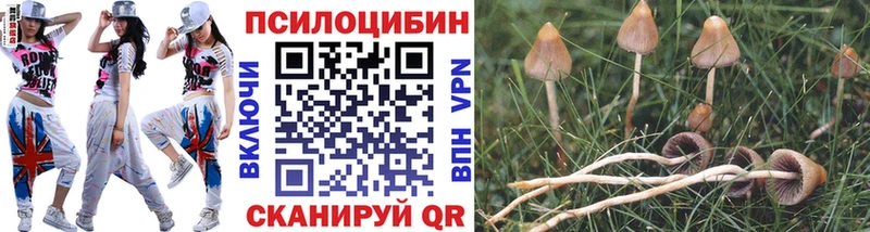 Галлюциногенные грибы прущие грибы  Курильск 